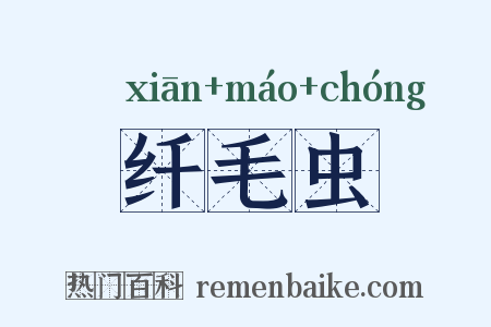 纤毛虫是什么意思的图片